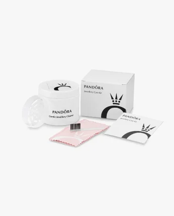 Kit de Limpeza