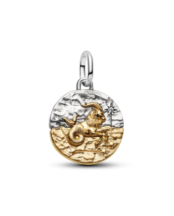 Conta Medalhão Capricórnio
