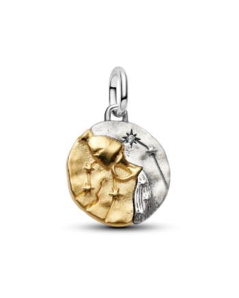 Conta Medalhão Aquário